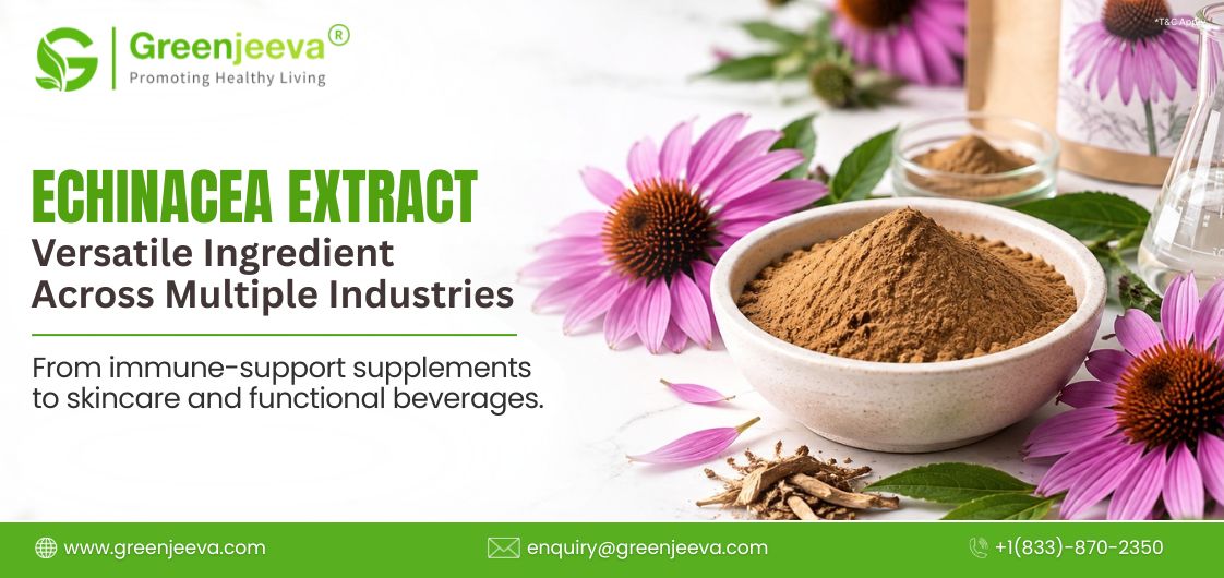 Echinacea Extract: A Versatile Ingredient Across Multiple Industries